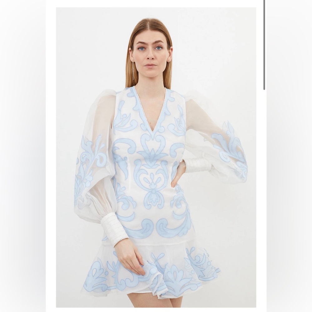 Karen Millen Applique Organdie Buttoned Woven Mini Dress